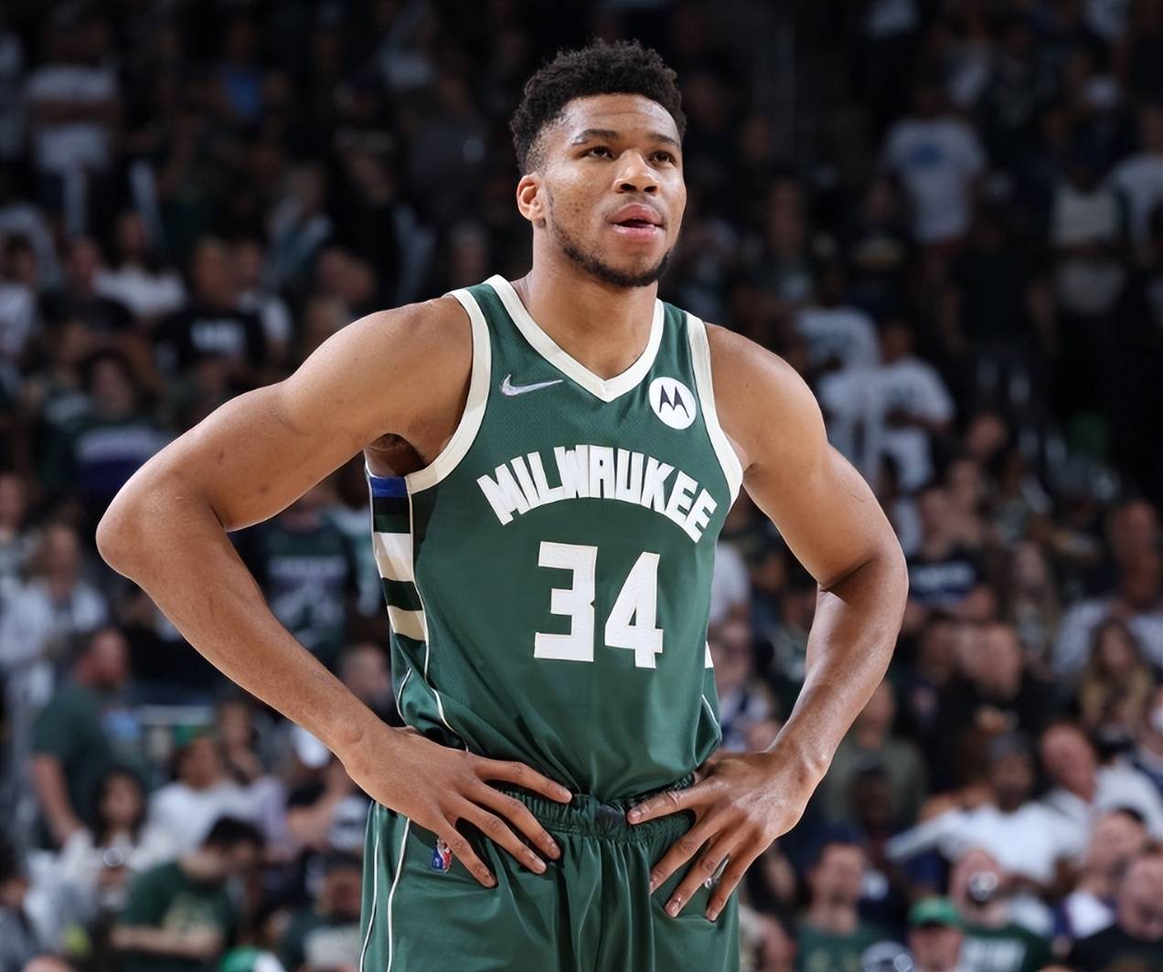 强化个人数 强化个人数